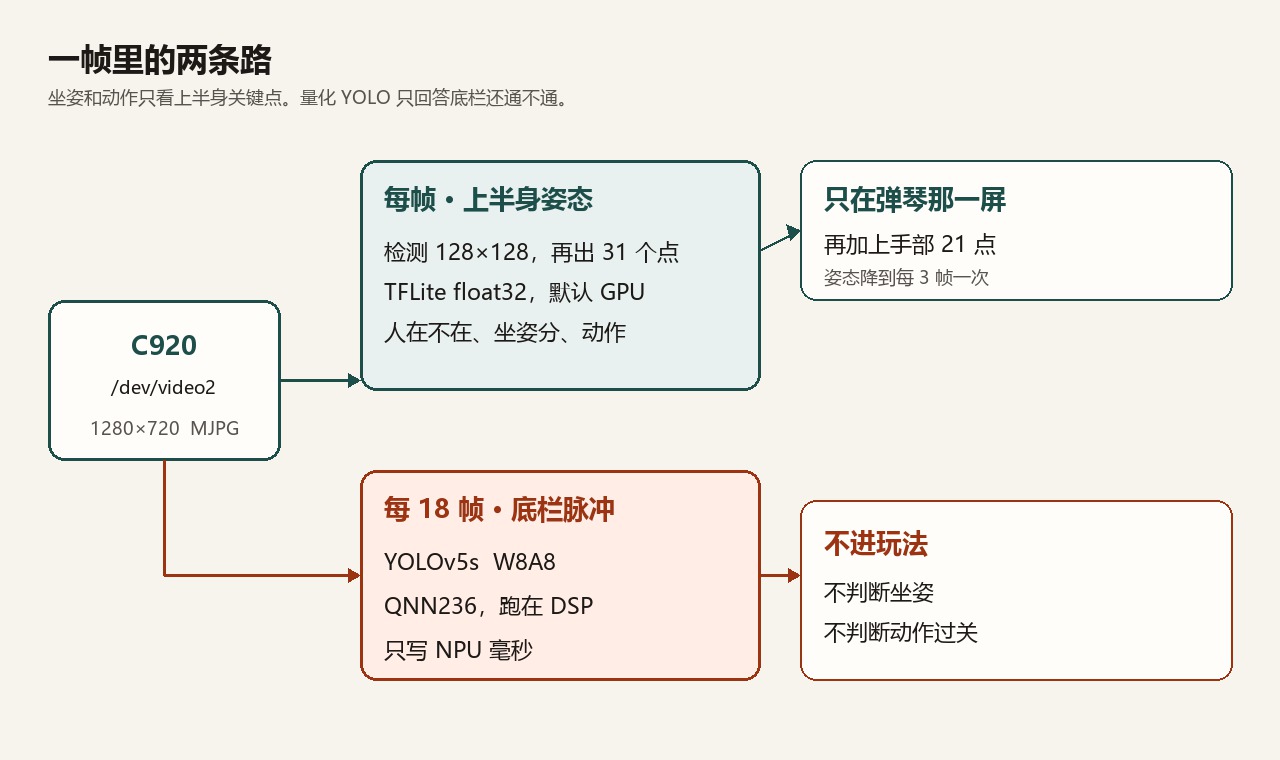 一帧里的两条路：上半身姿态进玩法，量化 YOLO 只写底栏
